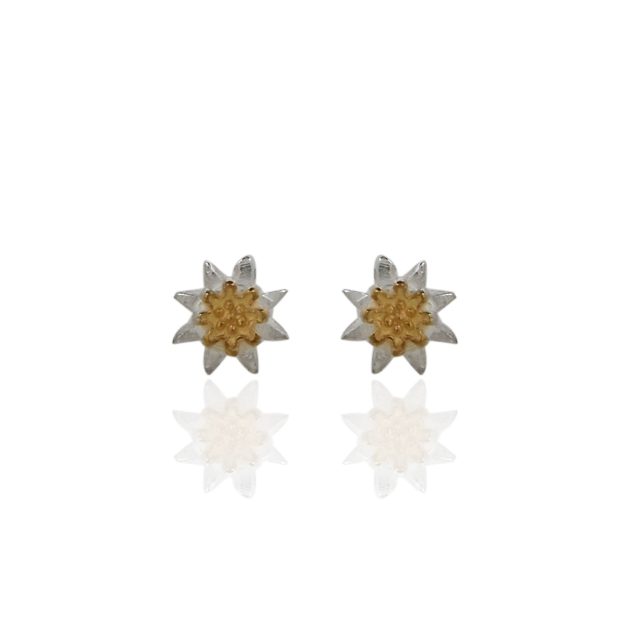 Dual-Tone Flower Ear Studs