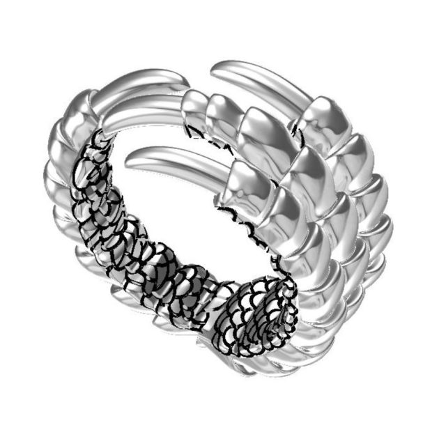 Eagle Claw Ring